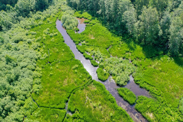 Wall Mural - Aerial high angle view of green grass and water in marsh wetland