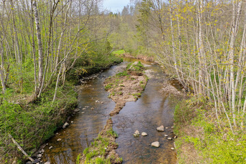 Wall Mural - Aerial view of river in spring