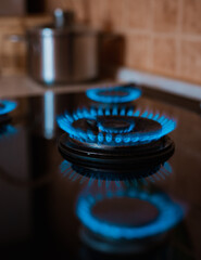 Wall Mural - Modern kitchen stove cook with blue flames burning.