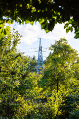 Wall Mural - view of blue tower high-voltage power line between foliage of apple trees on sunny summer evening