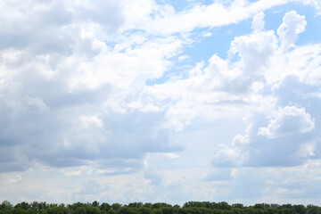 Wall Mural - Picturesque view of trees and blue sky with fluffy clouds