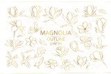 Fototapeta Sypialnia - Magnolia flowers set. Vector flowers. Line art style. Golden branches of magnolias.