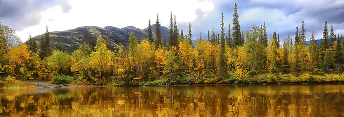 autumn forest mountains panorama, landscape trees, nature yellow season