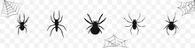 Set Of Spider Sillhouette. Black Spider Set. Halloween Design. Vector Illustration.