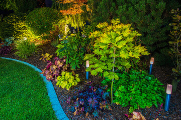 Wall Mural - Solar Lights in Landscaped Garden