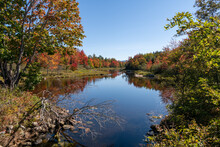 A Scenic Cove In Maine Where The Autumn Colored Trees Are Reflected Into The Water. Bright Blue Skies Are Shown On This Beautiful Fall Morning. 