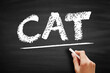 CAT - Computer Assisted Translation is the use of software to assist a human translator in the translation process, acronym concept on blackboard