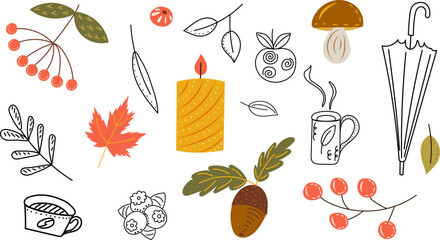 Wall Mural - autumn set in doodle style, vector