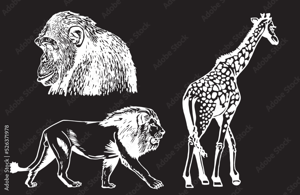 Graphical set of wild animals isolated on black,vector illustration ...