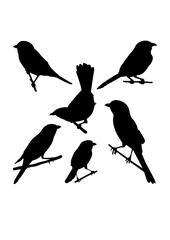 Wall Mural - Southern grey shrike bird silhouettes. Good use for symbol, logo, icon, mascot, sign, or any design you want.