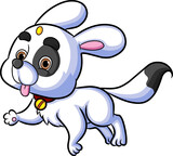 Fototapeta Psy - The cute puppy dog is running and playing with the happy expression