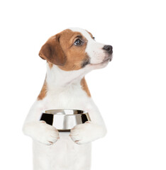 Poster - Hungry jack russell terrier puppy holds empty bowl and looks away on empty space. isolated on white background