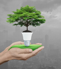 fresh green tree on soil with light bulb on grass in hands over pollution city tower and skyscraper 
