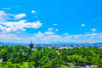 Wall Mural - 奈良県の都市風景