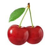 Fototapeta  - two fresh cherries with stem and leaf