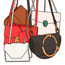 Designer Handbag Collection