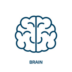 Poster - brain icon from artificial intellegence and future technology collection. Thin linear brain, human, idea outline icon isolated on white background. Line vector brain sign, symbol for web and mobile