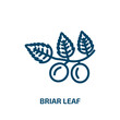 briar leaf icon from nature collection. Thin linear briar leaf, briar, leaf outline icon isolated on white background. Line vector briar leaf sign, symbol for web and mobile