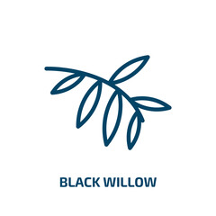 Poster - black willow icon from nature collection. Thin linear black willow, tree, willow outline icon isolated on white background. Line vector black willow sign, symbol for web and mobile