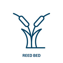 Reed Bed Icon From Nature Collection. Thin Linear Reed Bed, Bed, South Outline Icon Isolated On White Background. Line Vector Reed Bed Sign, Symbol For Web And Mobile