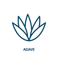 Poster - agave icon from nature collection. Thin linear agave, plant, natural outline icon isolated on white background. Line vector agave sign, symbol for web and mobile