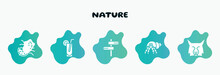 Nature Filled Icons Set. Flat Icons Such As Lemonade, Road, Hermit Crab, Lynx, Mussel Icon Collection. Can Be Used Web And Mobile.