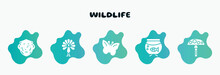 Wildlife Filled Icons Set. Flat Icons Such As Peacock, Butterflies, Aquarium, Amanita, Chimpanzee Icon Collection. Can Be Used Web And Mobile.