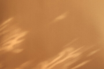 Wall Mural - sunlight glow and shadow on brown paper