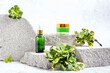 containers for cosmetics on the podium made of stones and green leaves of flowers
