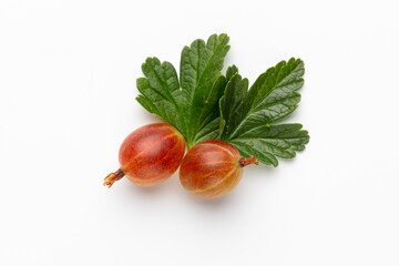 Wall Mural - Ripe red gooseberry berry with gooseberry leaf isolated on white background.