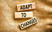 Adapt To Changes Symbol. Concept Words Adapt To Changes On Wooden Blocks On Canvas. Beautiful Canvas Background. Business And Adapt To Changes Quote Concept. Copy Space.