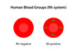 Human blood groups, Rh system