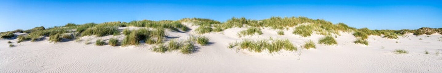 Wall Mural - sandy dune beach as panorama background