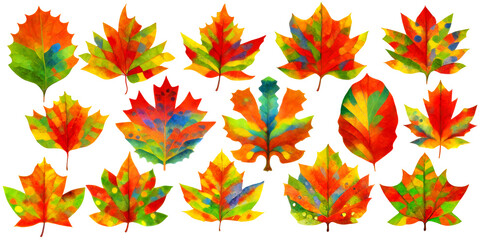 Wall Mural - Collection of colorful autumn tree leaves isolated on white background. Digital illustration