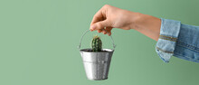 Female hand holding small bucket with cactus on green background