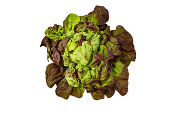 Wall Mural - Green and purple lettuce salad head isolated transparent png