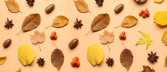 Beautiful autumn composition on color background