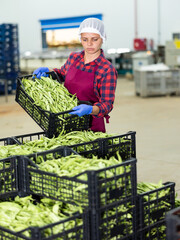 Wall Mural - Woman in uniform stacking crates full of green pea while working in vegetable warehouse.