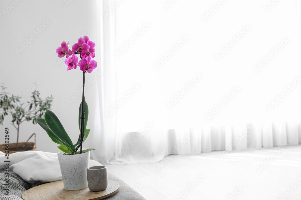 Tray with orchid flower and candle on bench near bed