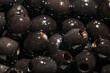 © Pixel-Shot - Texture of black olives as background, closeup