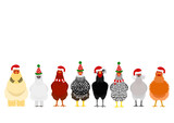 Fototapeta Konie - Christmas chickens border