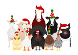 Fototapeta Koty - Christmas farm animals group