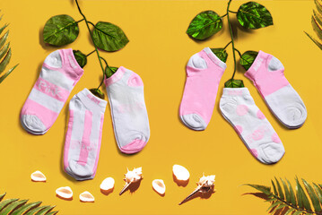 short socks top view female girls socks isolated