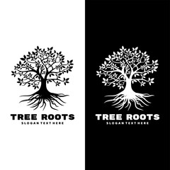 Wall Mural - tree roots logo design icon vector