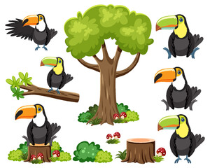 Poster - Wild animals set with nature elements