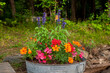 Pretty annual flowers growing in a rustic galvanized water trough planter, at a summer cottage in Canada.