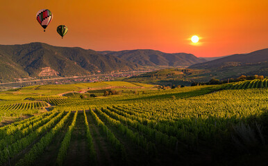 Wall Mural - Colorful balloons flying over Wachau valley on a sunset. Austria