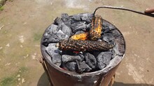Grilled Corn Cobs On Coal Stove.
Fresh Roasted Corncobs On Coal Fire. Burnt Golden Color Corn Cob Is  Grill Grate With Smoke And Flame. Roasted On The Hot Stove Fresh Tasty Sweet Corn. Ready To Eat.