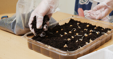 Poster - Planting vegetable at home for mini garden