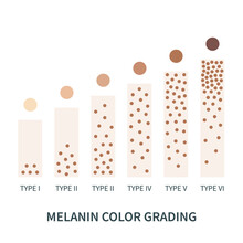 Melanin Color Palette Scheme From Light To Dark Brown. Skin Tanning Process Diagram. Skin Complexion Diversity. Fitzpatrick Skin Type Classification Scale. Beauty Concept Design. Vector Illustration